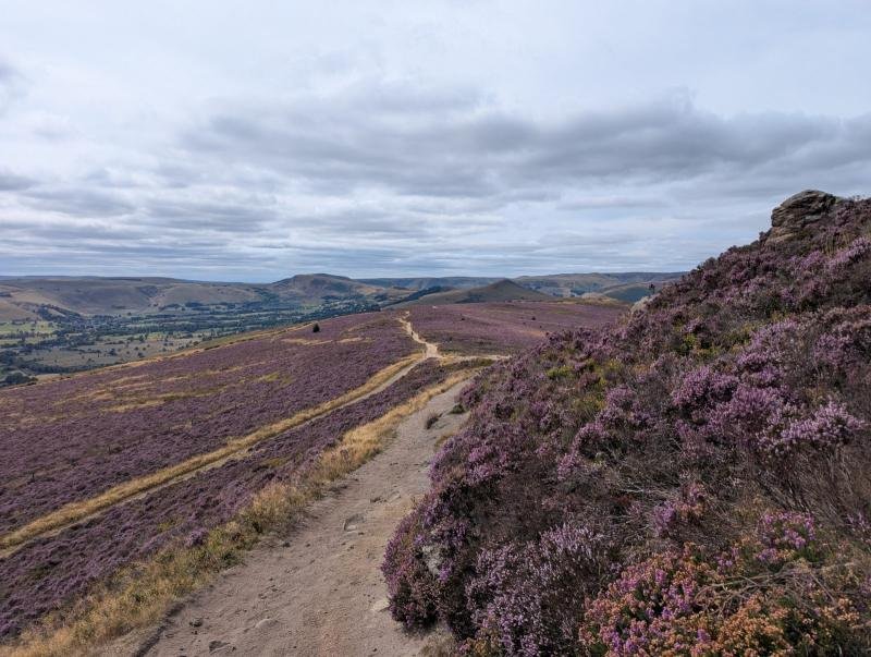 A path through purple heather on Peak District moorland